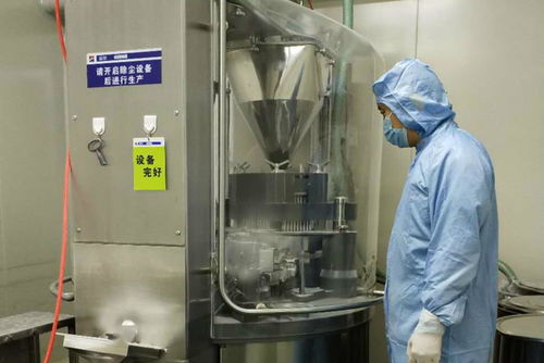 金花制藥廠順利完成GMP符合性自檢工作，全面承接總公司核心業(yè)務(wù)